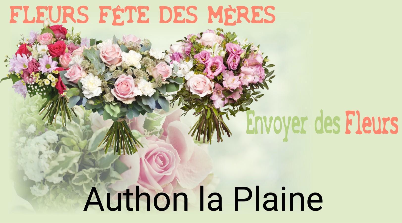 Bouquet de Fête des Mères livré à Authon-la-Plaine